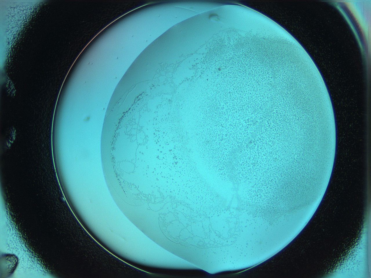06hm_C7_ImagerDefaults_2.jpg