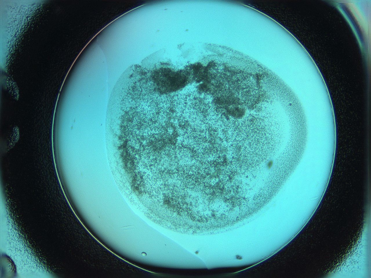 06hm_C8_ImagerDefaults_3.jpg