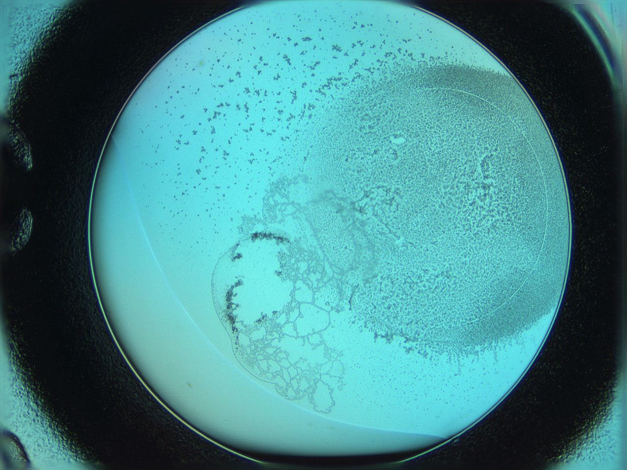06hm_C9_ImagerDefaults_2.jpg