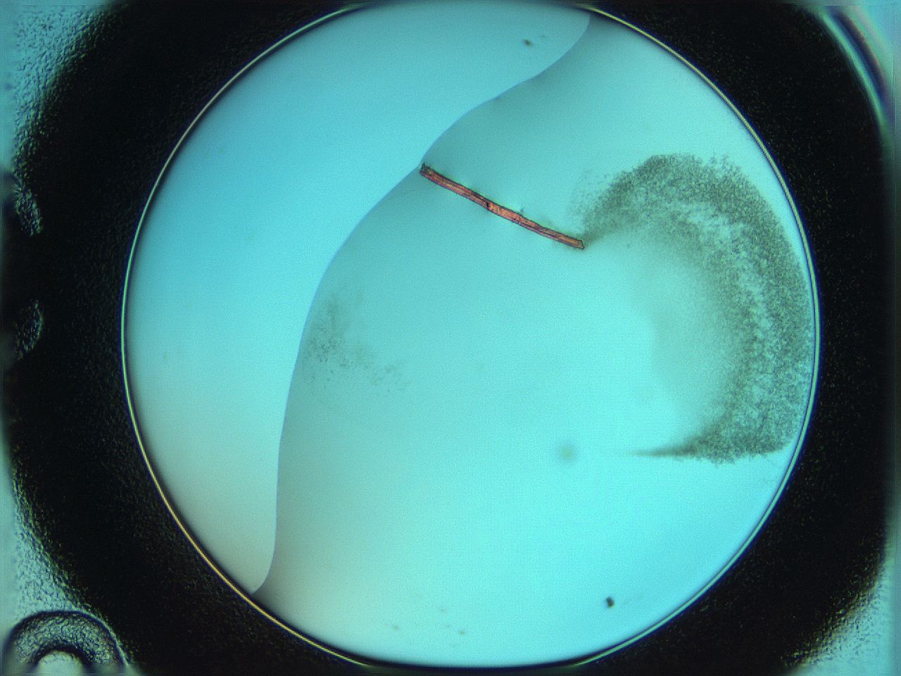 06hm_C10_ImagerDefaults_3.jpg