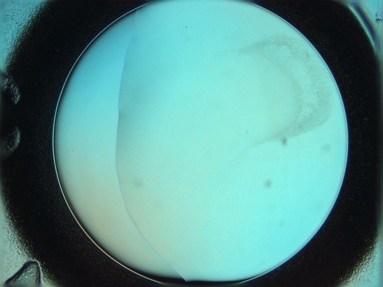 06hm_C11_ImagerDefaults_2.jpg