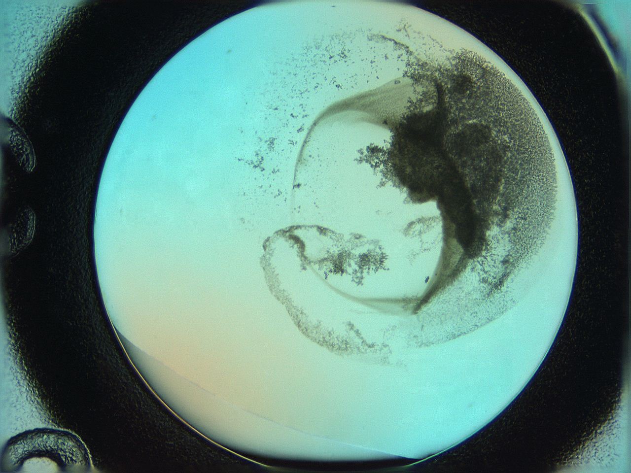 06hm_C12_ImagerDefaults_3.jpg