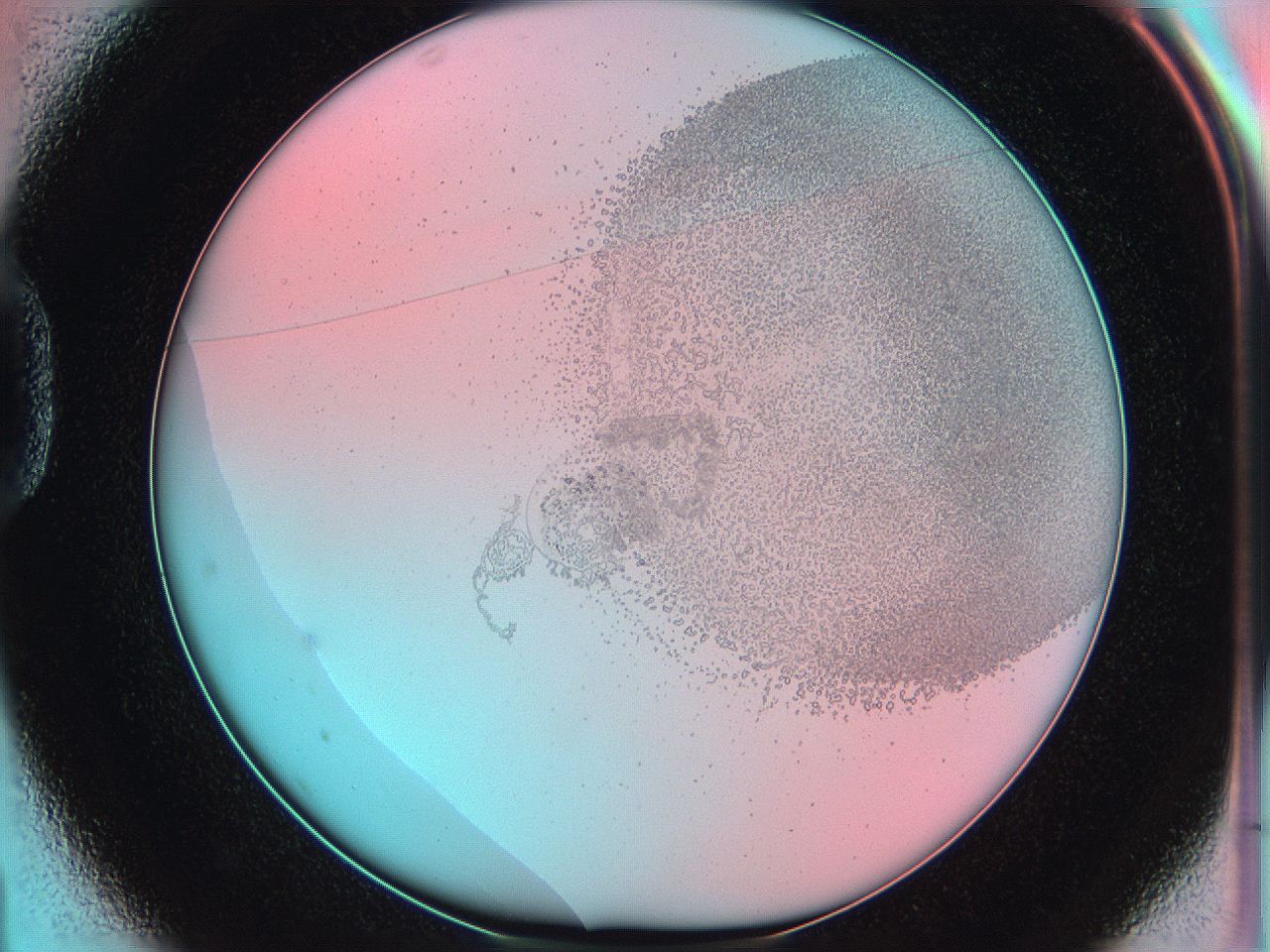 06hm_D1_ImagerDefaults_5.jpg
