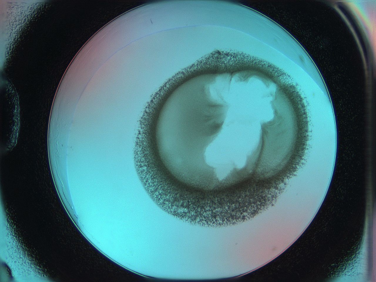 06hm_D3_ImagerDefaults_3.jpg