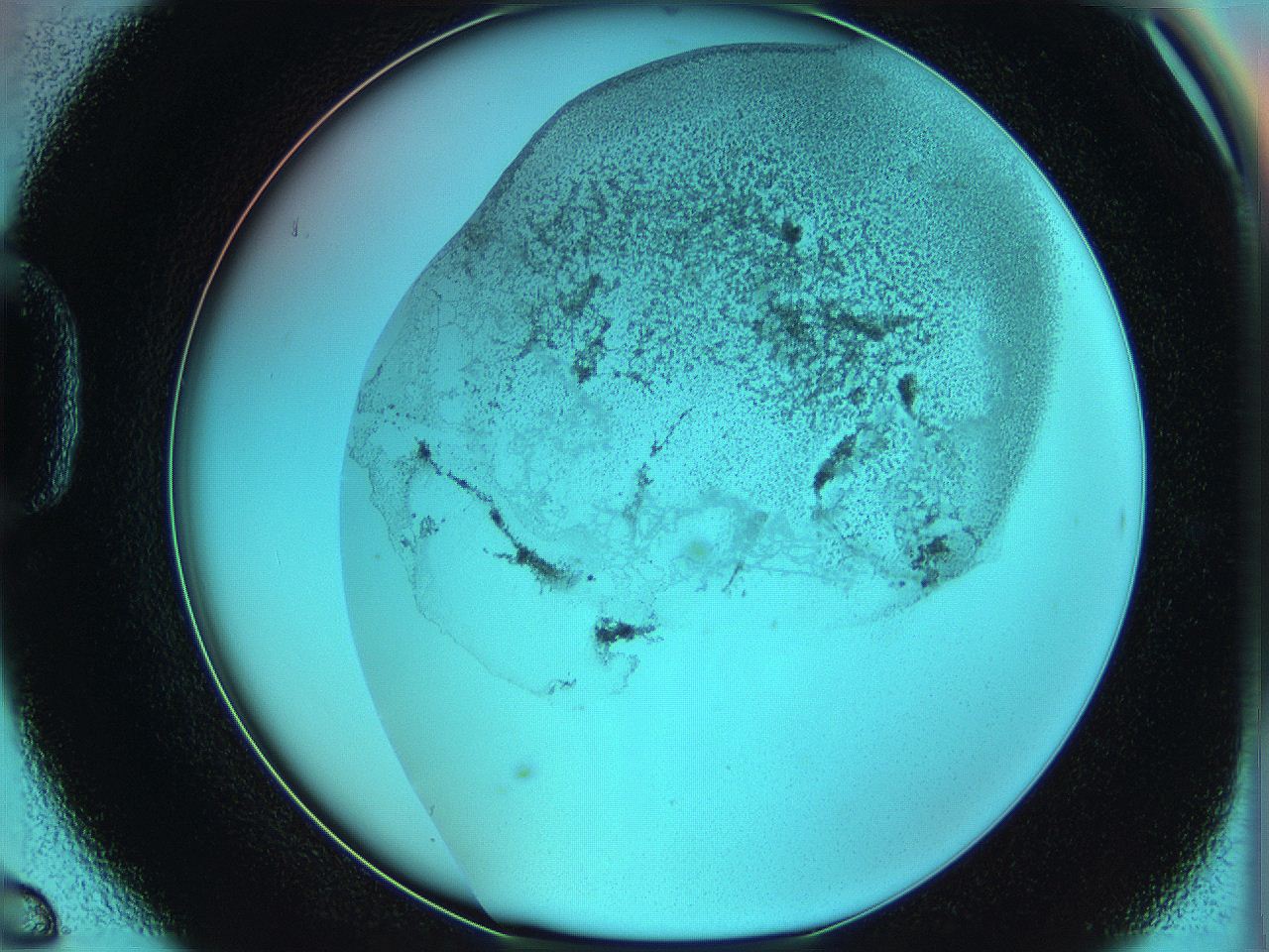 06hm_D6_ImagerDefaults_3.jpg