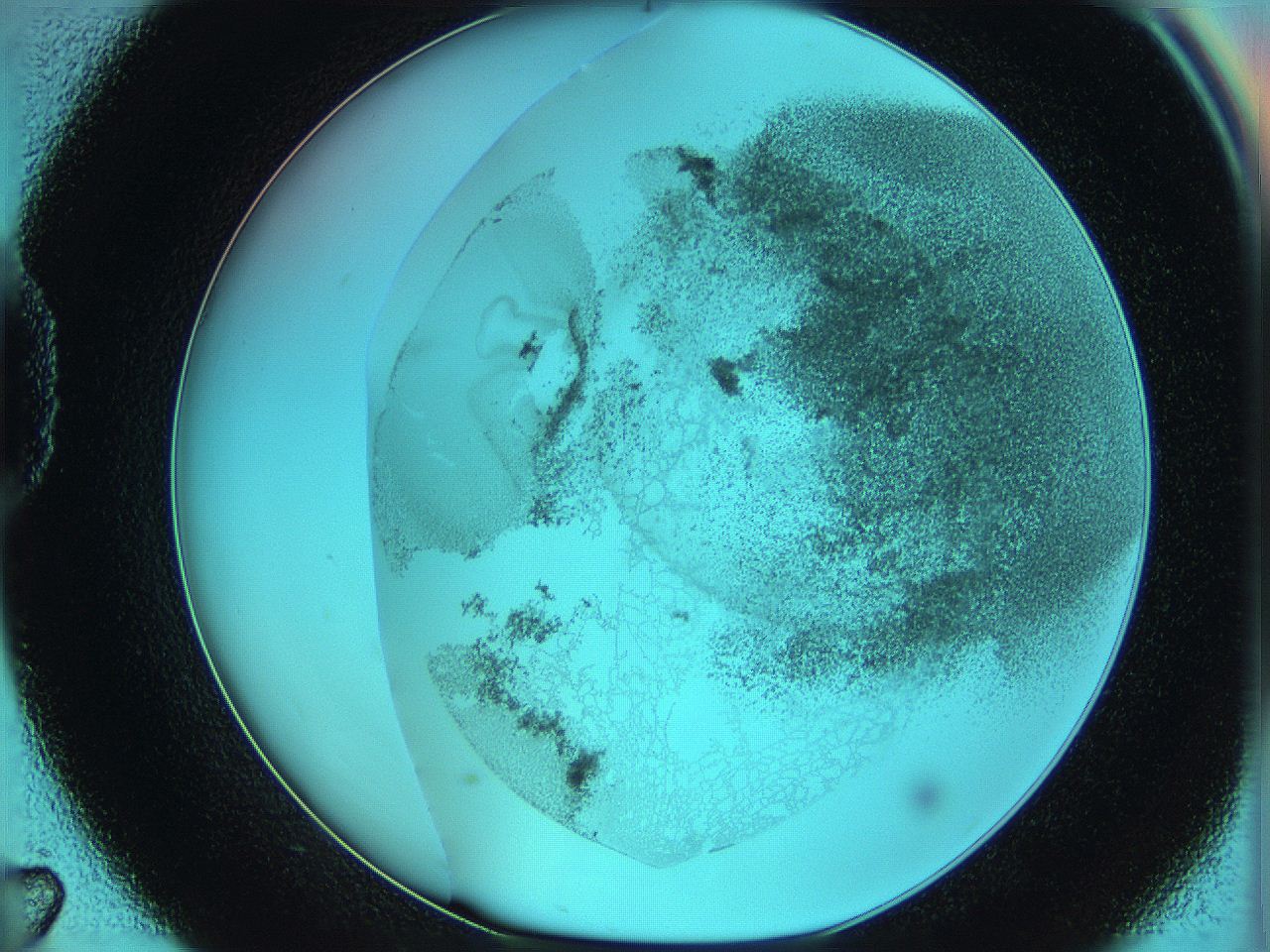 06hm_D7_ImagerDefaults_3.jpg