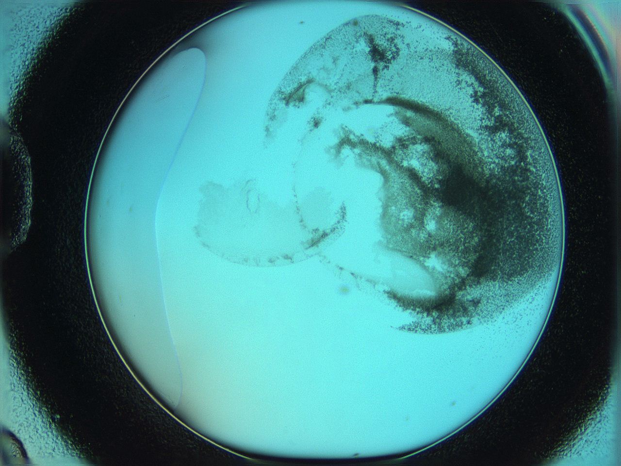 06hm_D9_ImagerDefaults_3.jpg