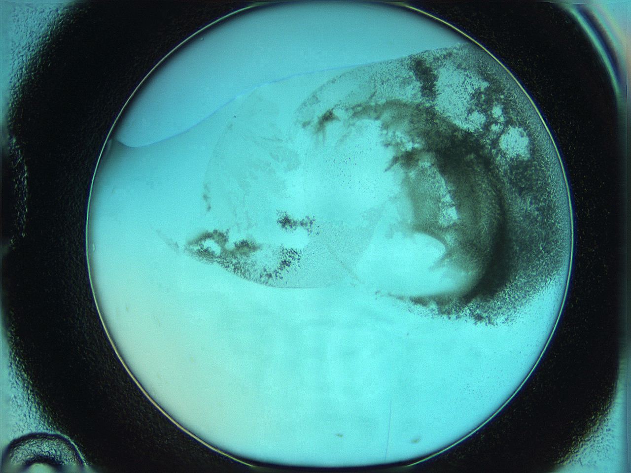 06hm_D10_ImagerDefaults_3.jpg