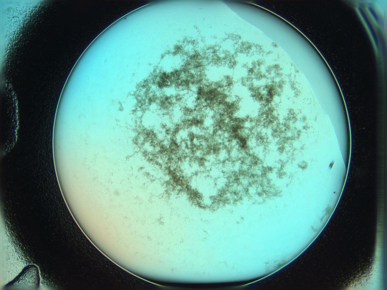 06hm_D11_ImagerDefaults_3.jpg