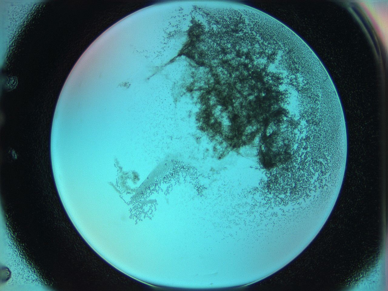 06hm_E5_ImagerDefaults_3.jpg