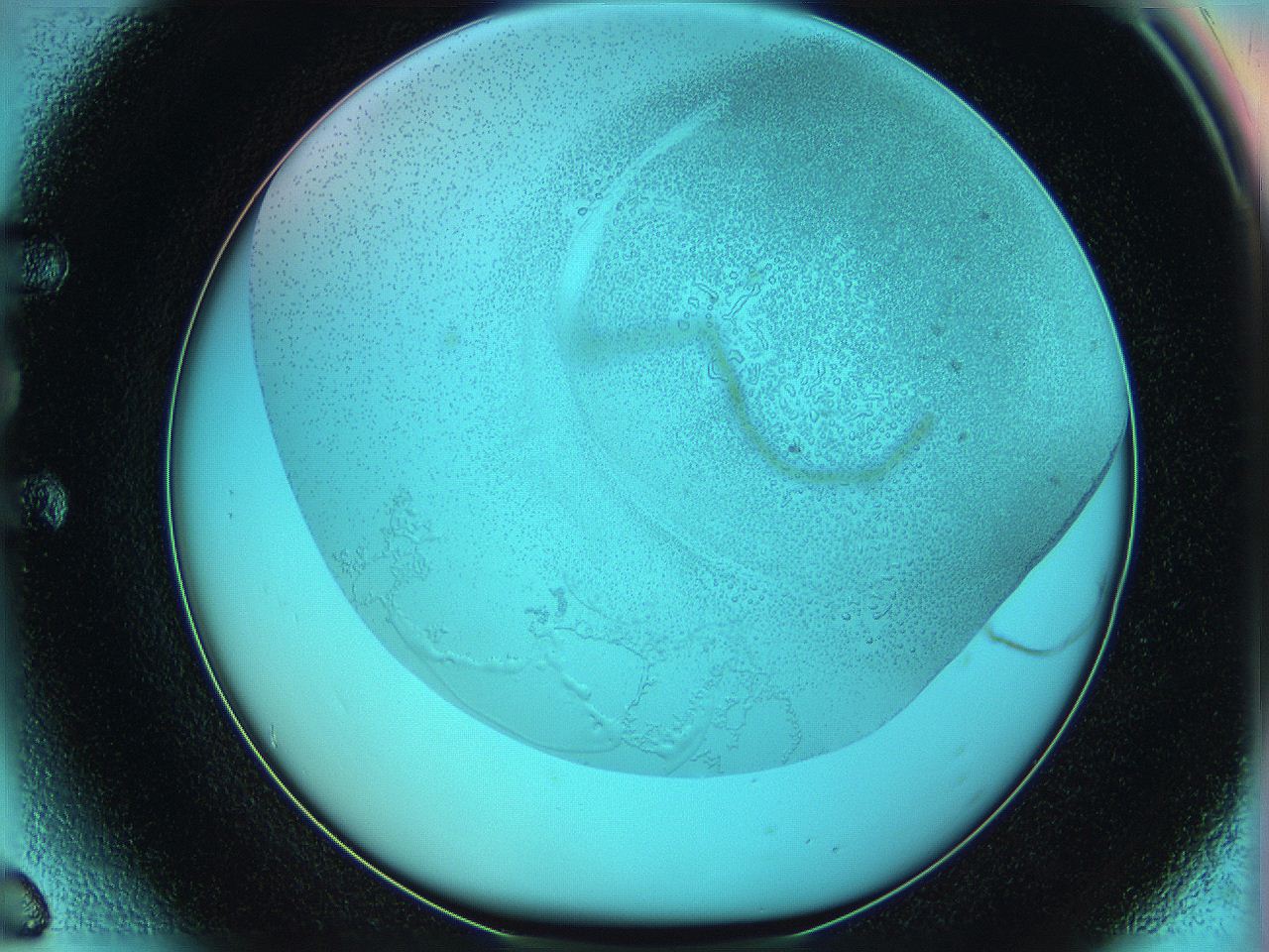 06hm_E6_ImagerDefaults_5.jpg