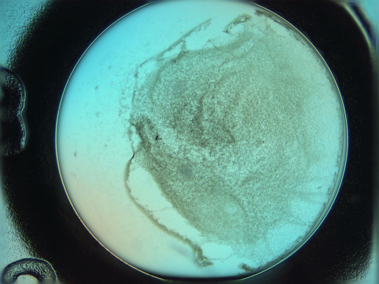 06hm_B12_ImagerDefaults_3.jpg