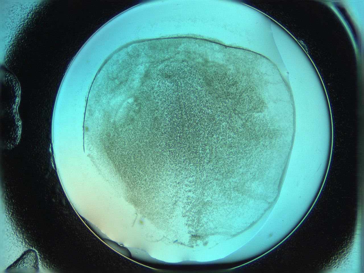 06hm_B11_ImagerDefaults_3.jpg
