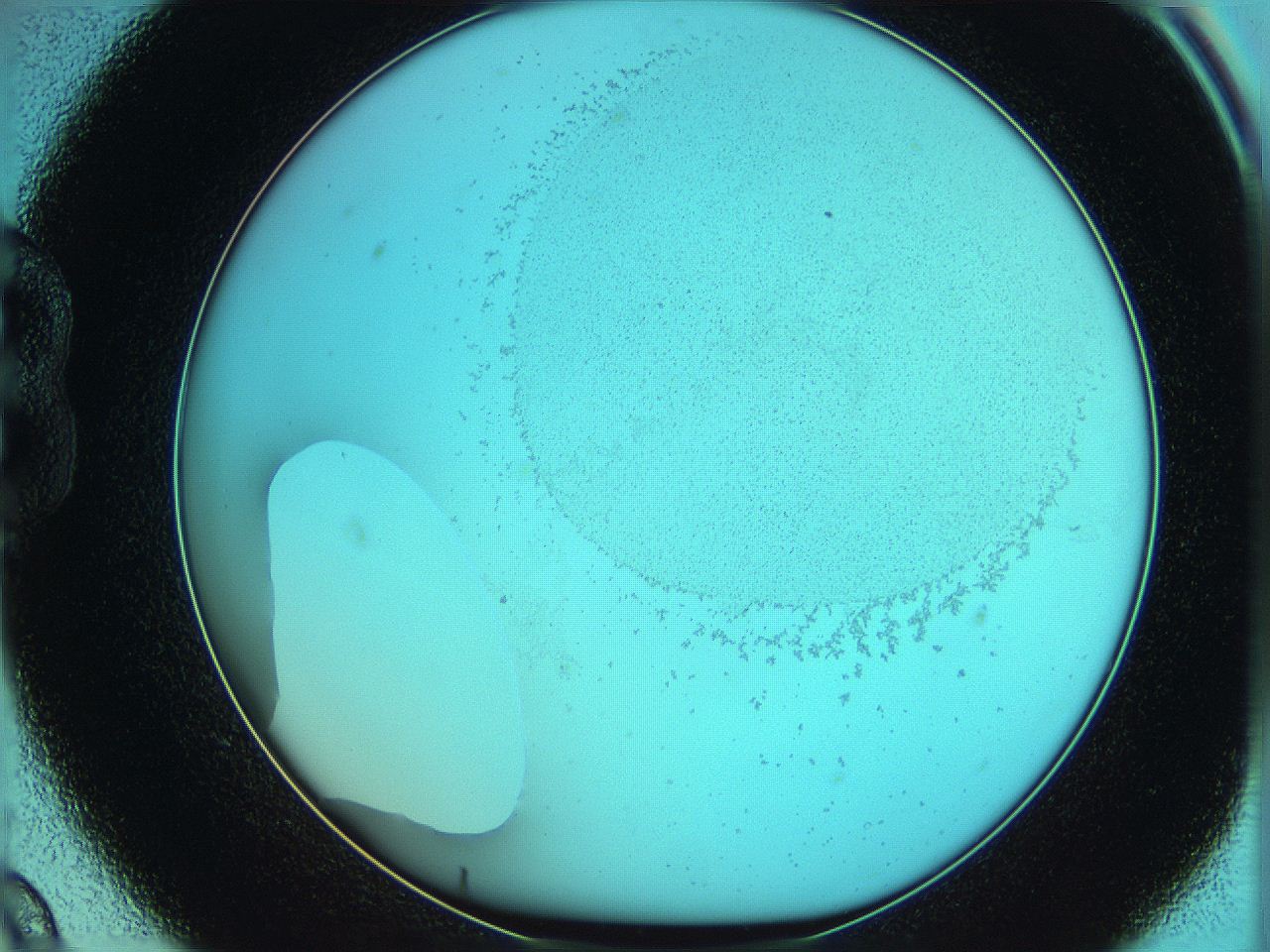 06hm_B9_ImagerDefaults_5.jpg