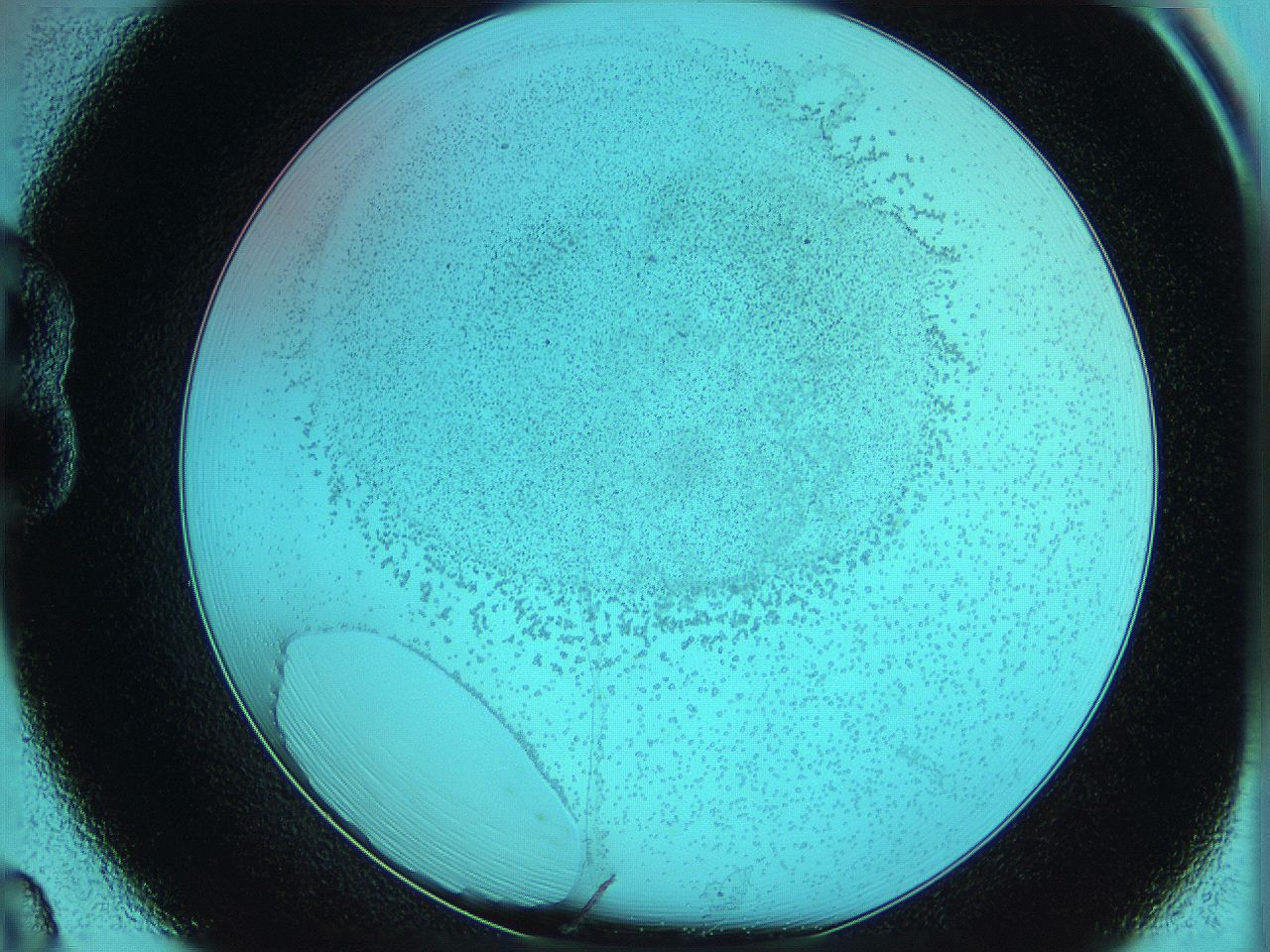 06hm_B8_ImagerDefaults_5.jpg