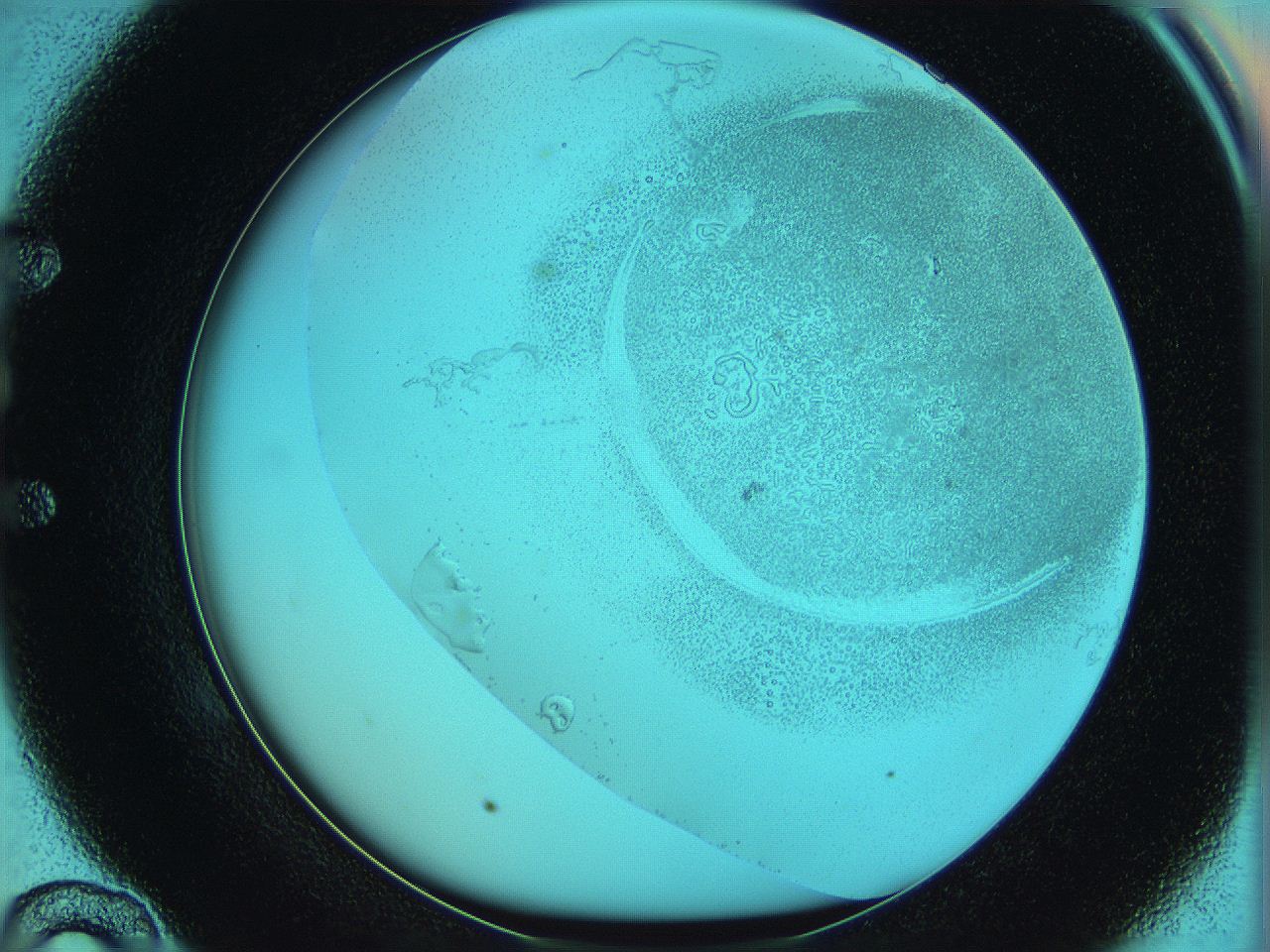 06hm_E10_ImagerDefaults_5.jpg