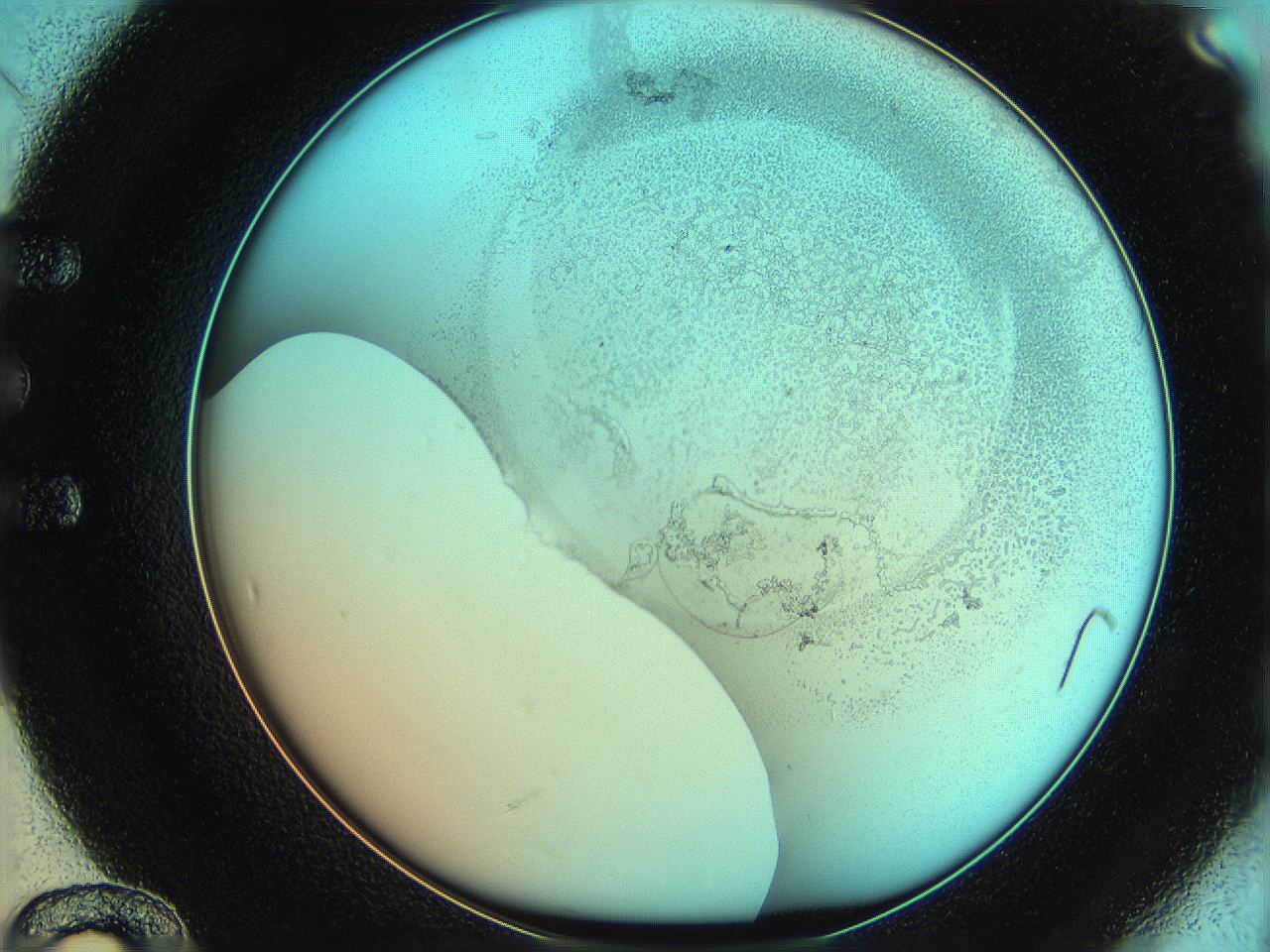 06hm_E12_ImagerDefaults_5.jpg