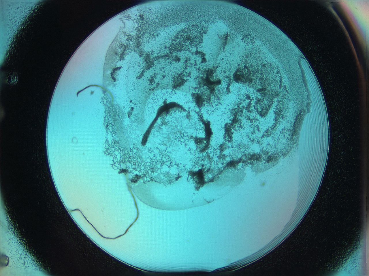 06hm_F5_ImagerDefaults_3.jpg