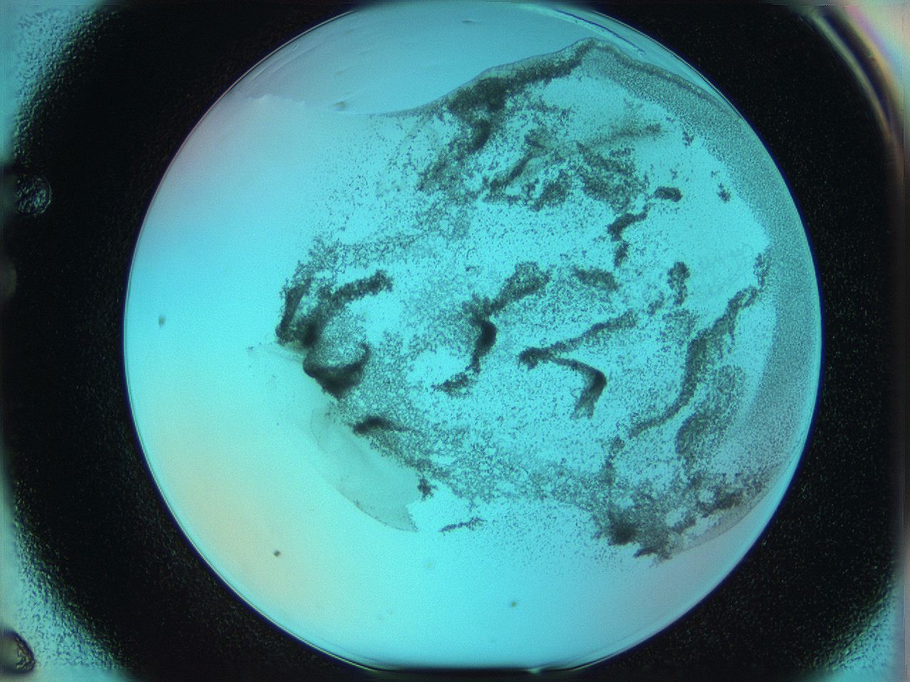 06hm_F6_ImagerDefaults_3.jpg