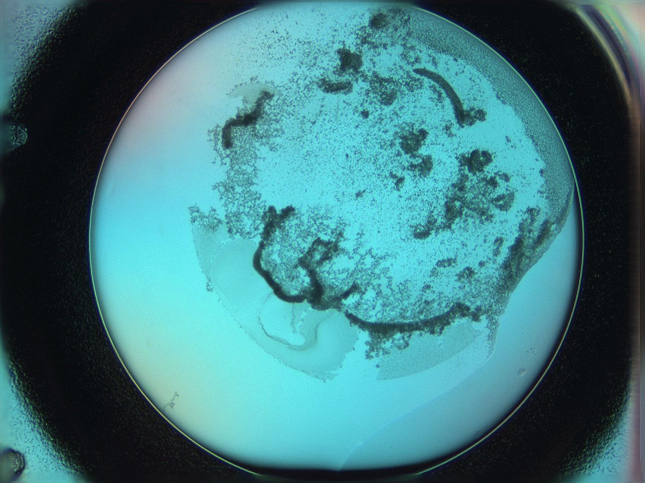 06hm_F7_ImagerDefaults_3.jpg