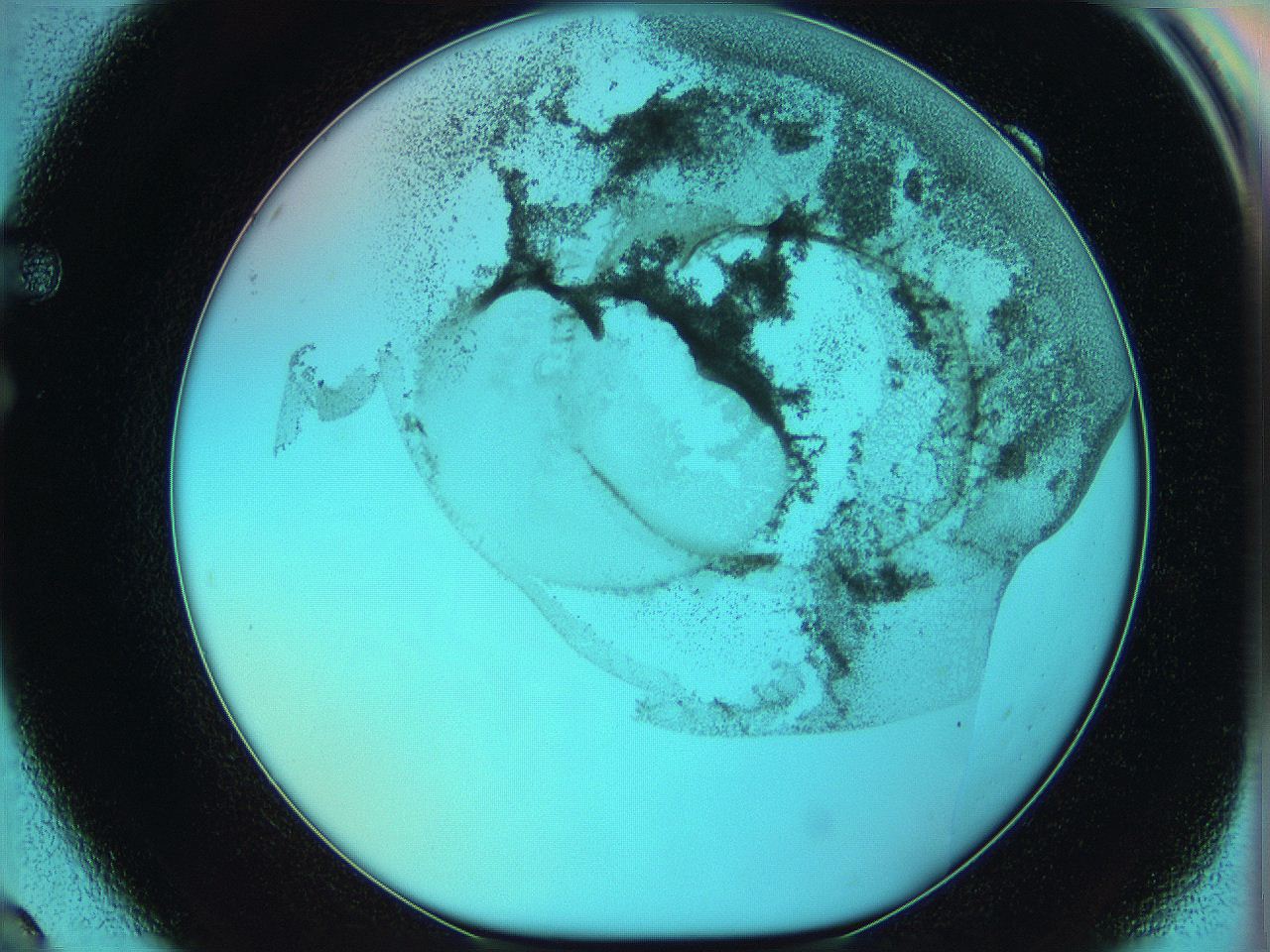 06hm_F9_ImagerDefaults_3.jpg