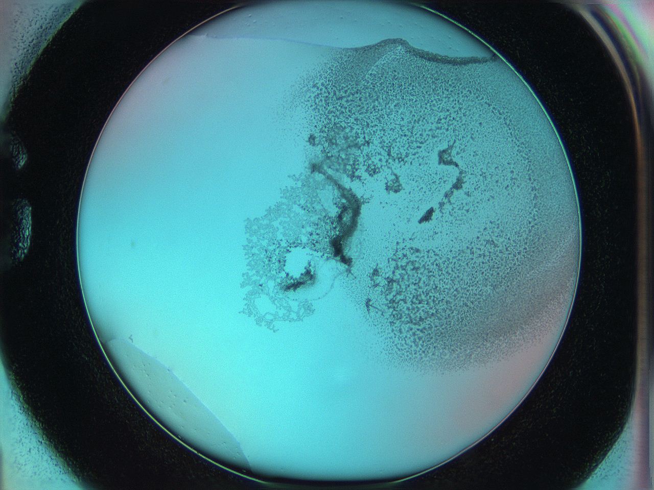 06hm_G1_ImagerDefaults_3.jpg