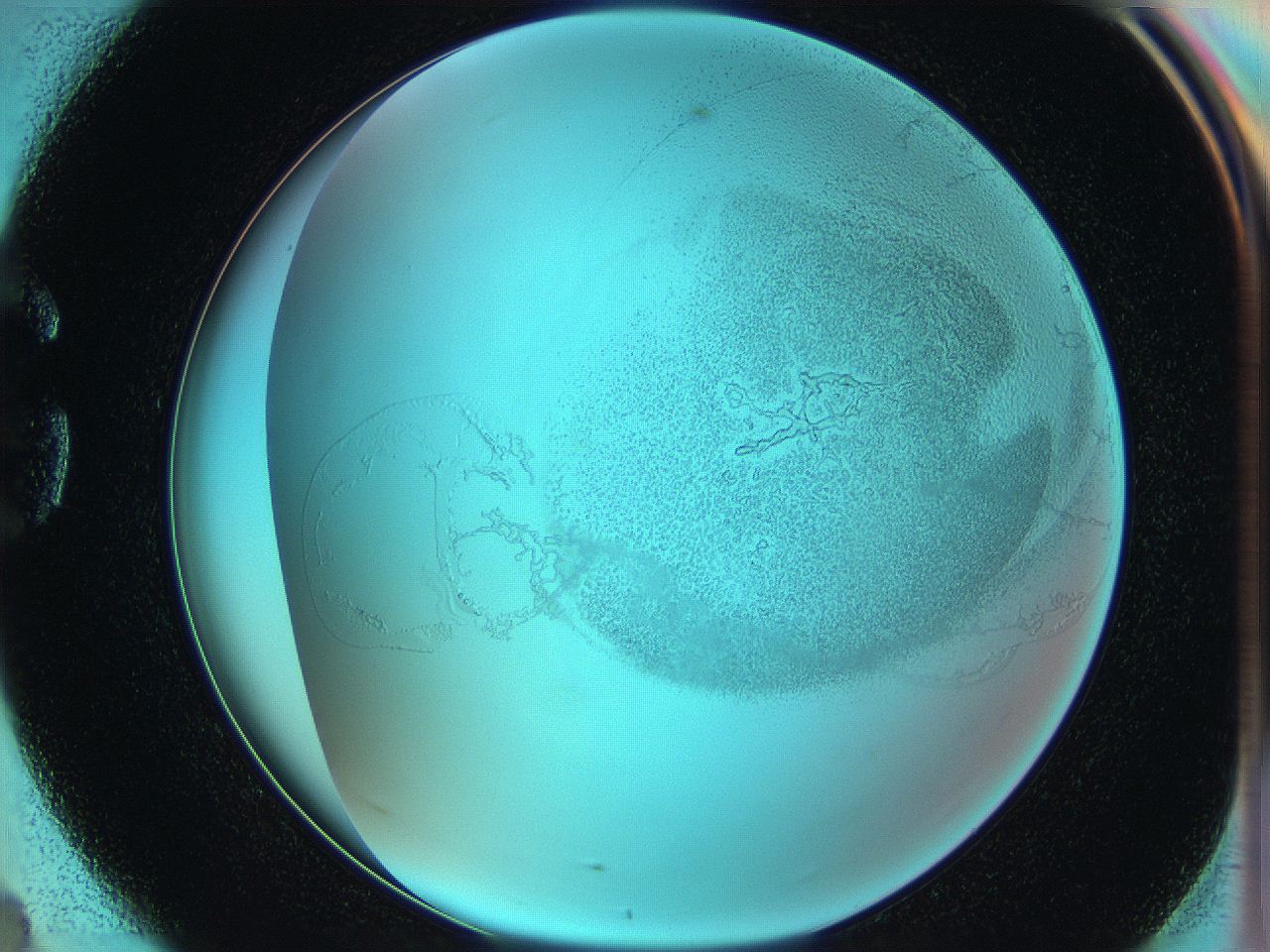 06hm_G4_ImagerDefaults_5.jpg