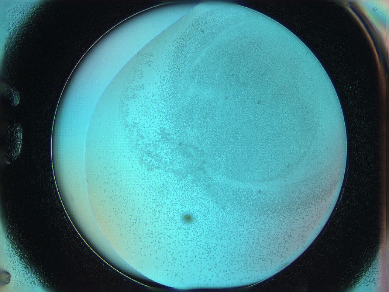06hm_G5_ImagerDefaults_5.jpg