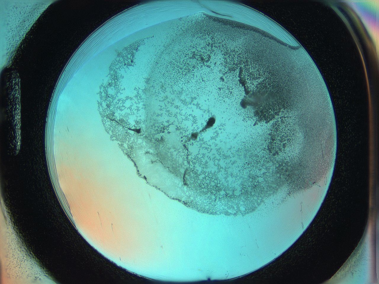 06hm_H1_ImagerDefaults_2.jpg