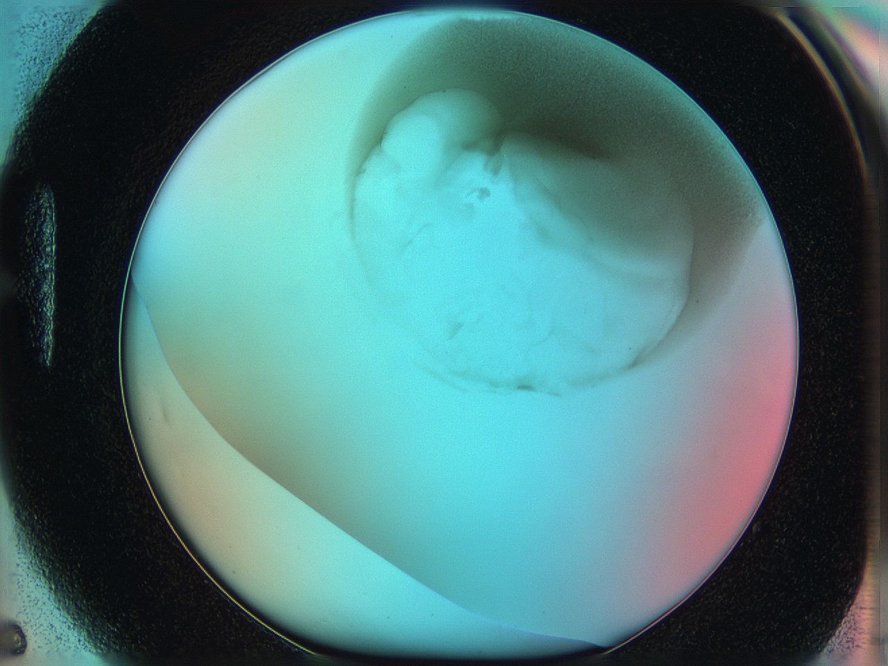 06hm_H5_ImagerDefaults_3.jpg