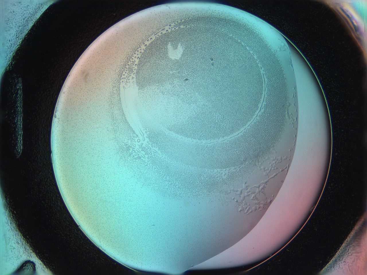 06hm_H11_ImagerDefaults_5.jpg