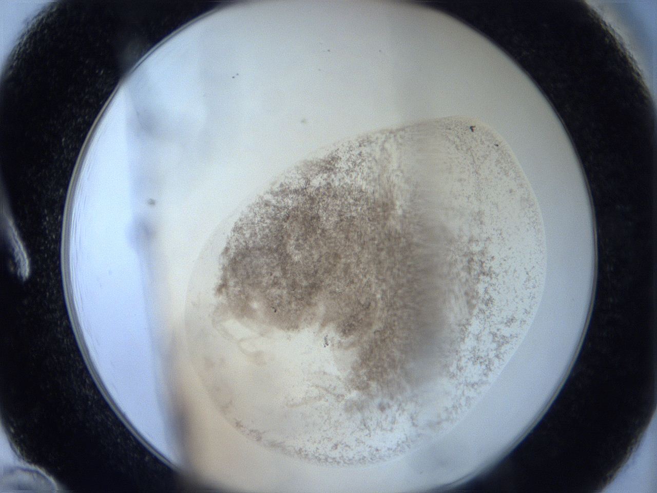 06hn_A12_ImagerDefaults_3.jpg