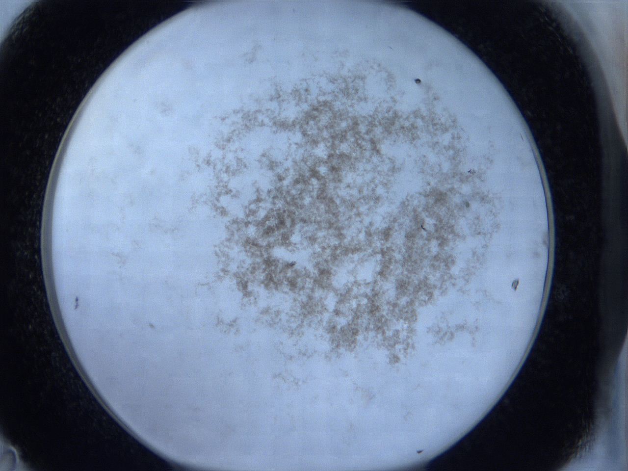 06hn_D11_ImagerDefaults_3.jpg
