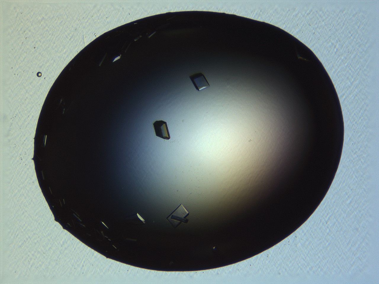 06i0_A10_ImagerDefaults_9.jpg