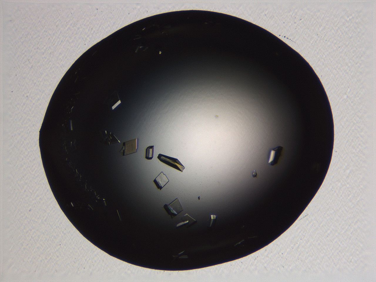 06i0_A11_ImagerDefaults_9.jpg