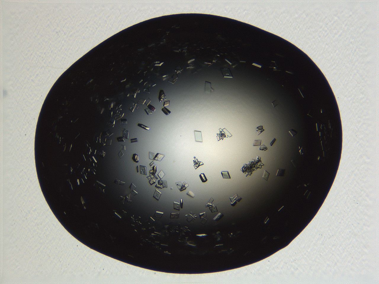 06i0_A12_ImagerDefaults_9.jpg