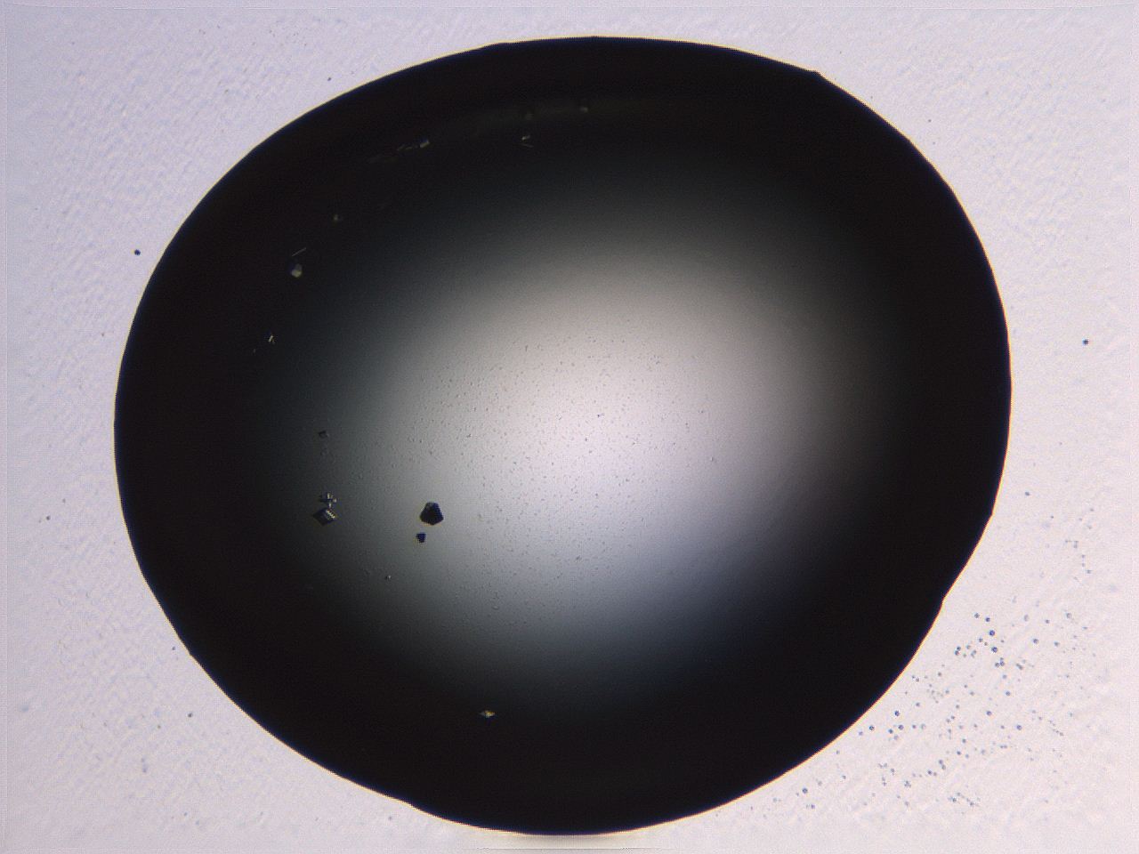 06i0_B5_ImagerDefaults_9.jpg