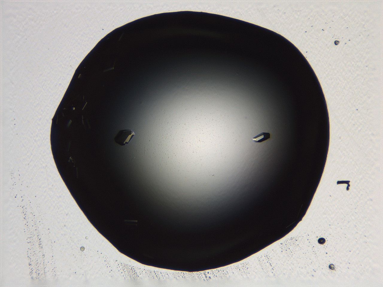 06i0_B8_ImagerDefaults_9.jpg