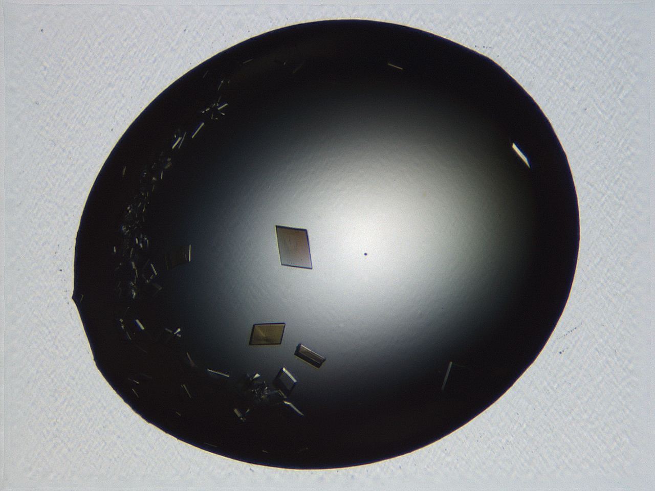 06i0_B10_ImagerDefaults_9.jpg