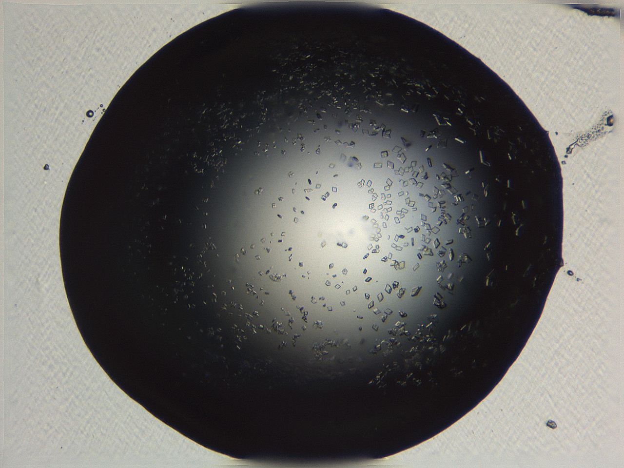 06i0_B11_ImagerDefaults_9.jpg