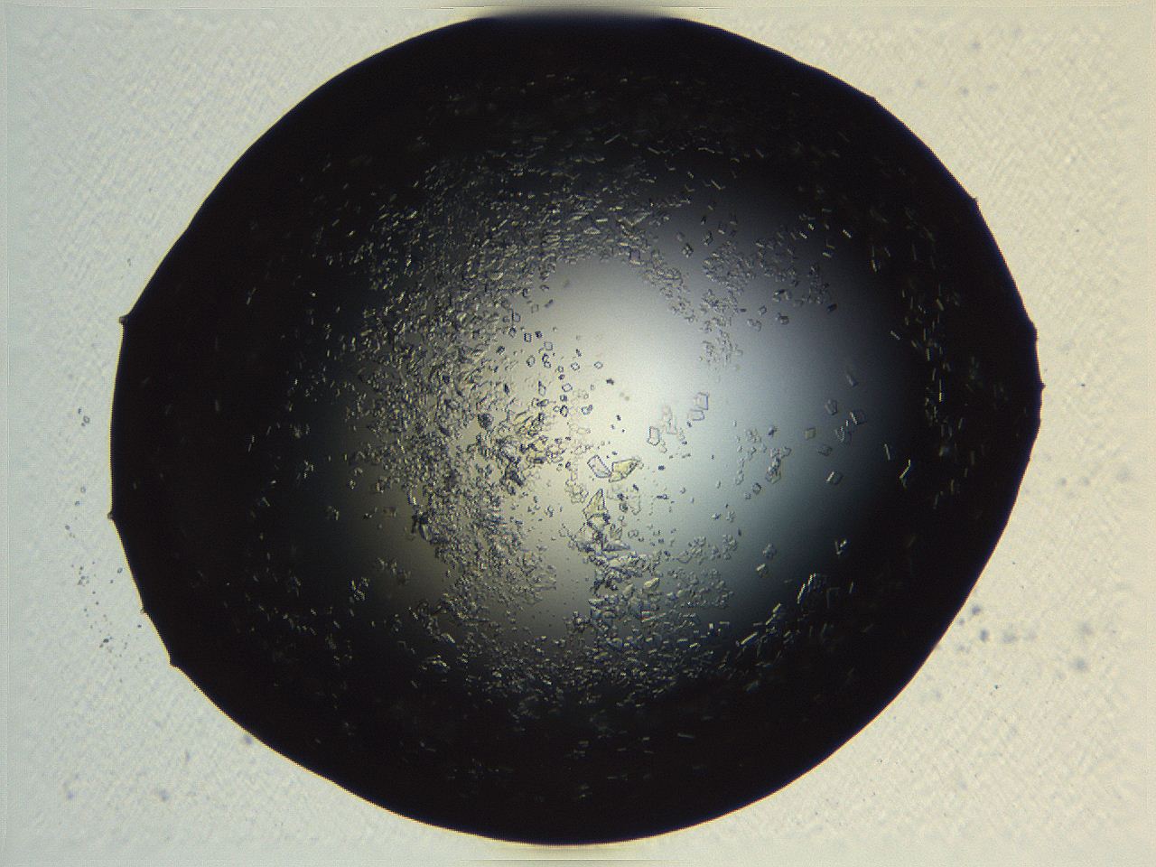 06i0_B12_ImagerDefaults_9.jpg