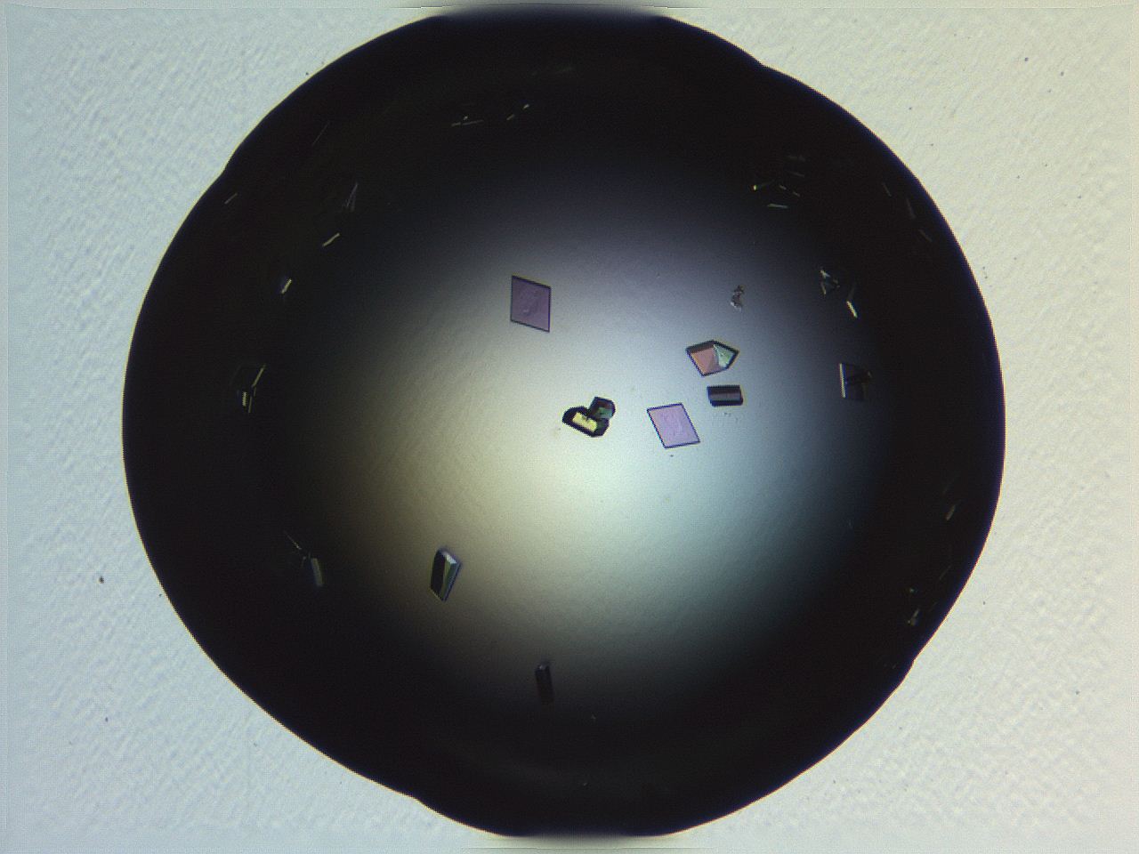 06i0_C9_ImagerDefaults_9.jpg