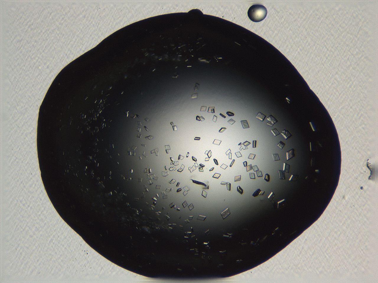 06i0_C10_ImagerDefaults_9.jpg