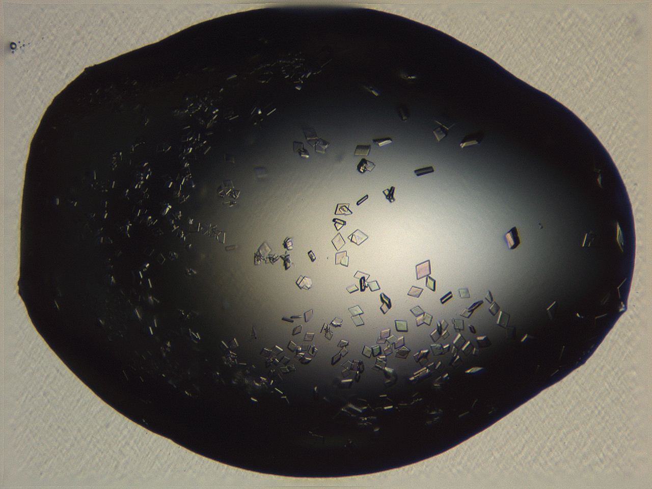 06i0_C11_ImagerDefaults_9.jpg