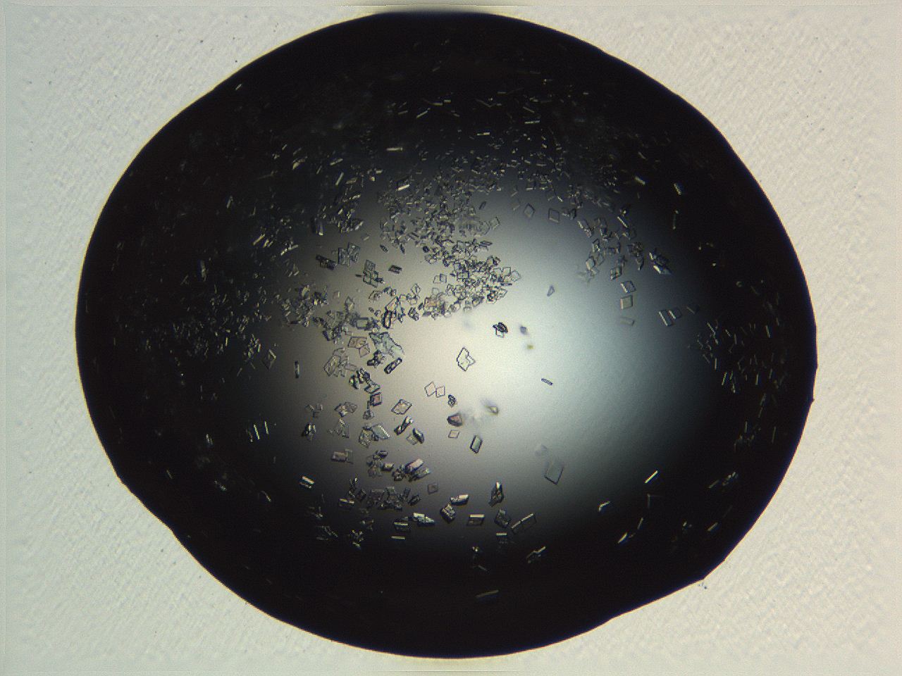 06i0_C12_ImagerDefaults_9.jpg
