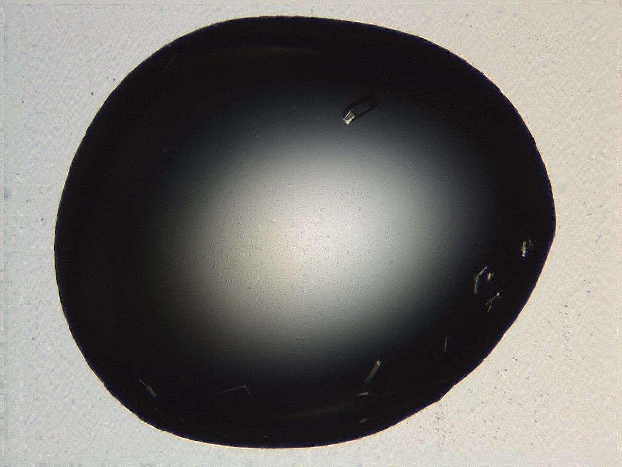 06i0_D8_ImagerDefaults_9.jpg