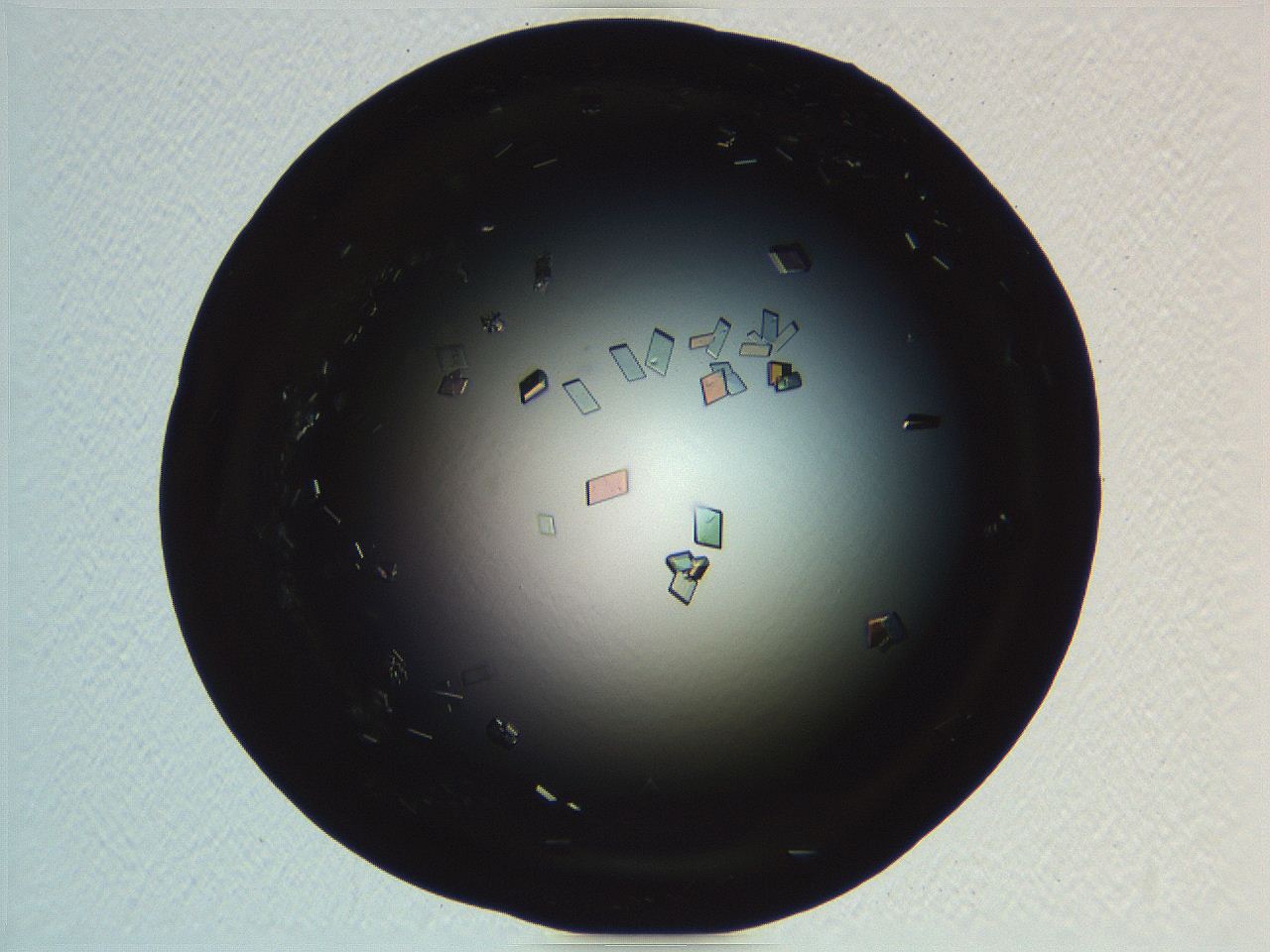06i0_D9_ImagerDefaults_9.jpg