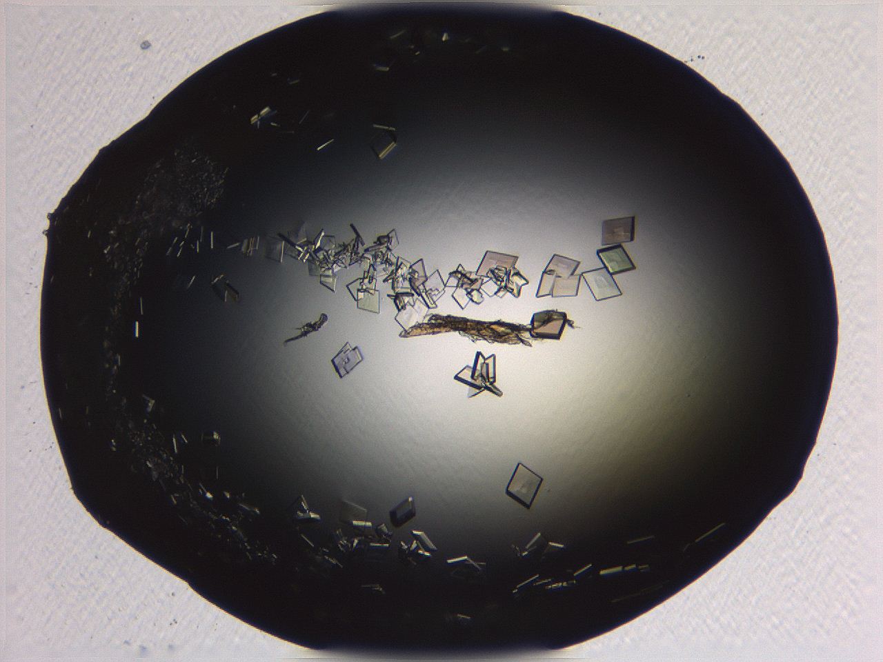 06i0_D10_ImagerDefaults_9.jpg