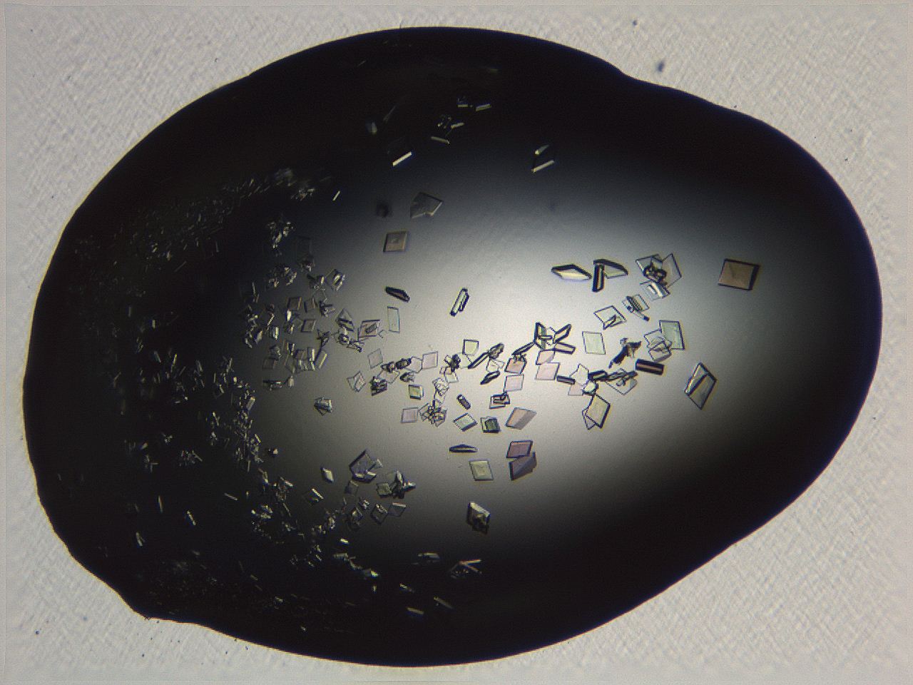 06i0_D11_ImagerDefaults_9.jpg