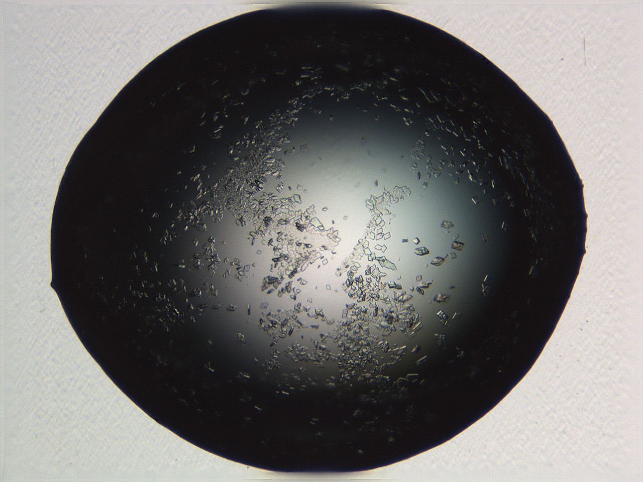 06i0_D12_ImagerDefaults_9.jpg